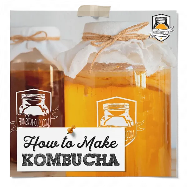 How To Make Kombucha