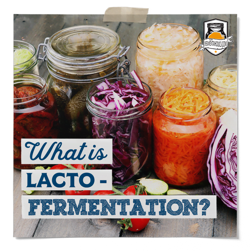 What Is Lacto-Fermentation