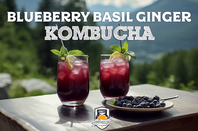 Komblueberry Bliss Kombucha Recipe