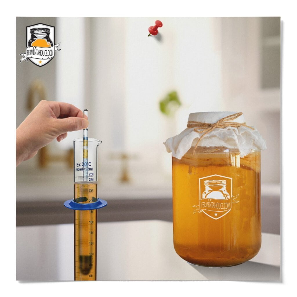 kombucha alcohol content