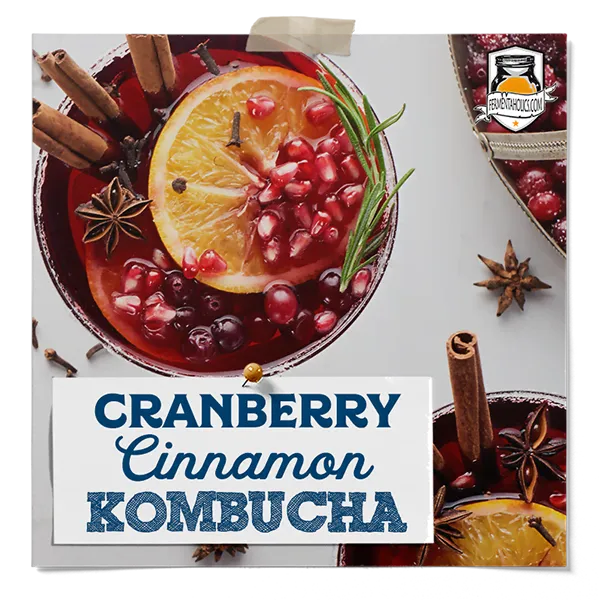 Cranberry Cinnamon Kombucha Recipe
