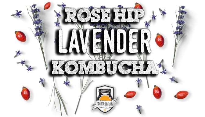 Rose Hips Lavender Kombucha