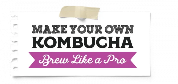 Make Your Own Big Momma Kombucha