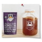 Extra Large SCOBY