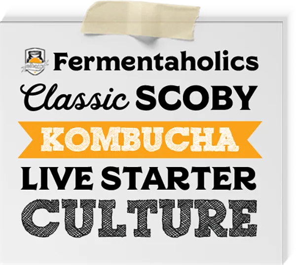 Classic Scoby Kombucha