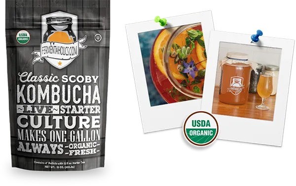 Classic Kombucha Scoby