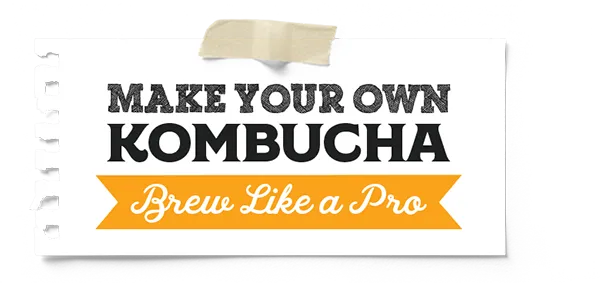 Classic Organic Kombucha Scoby