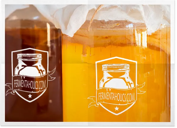 Classic Organic Kombucha