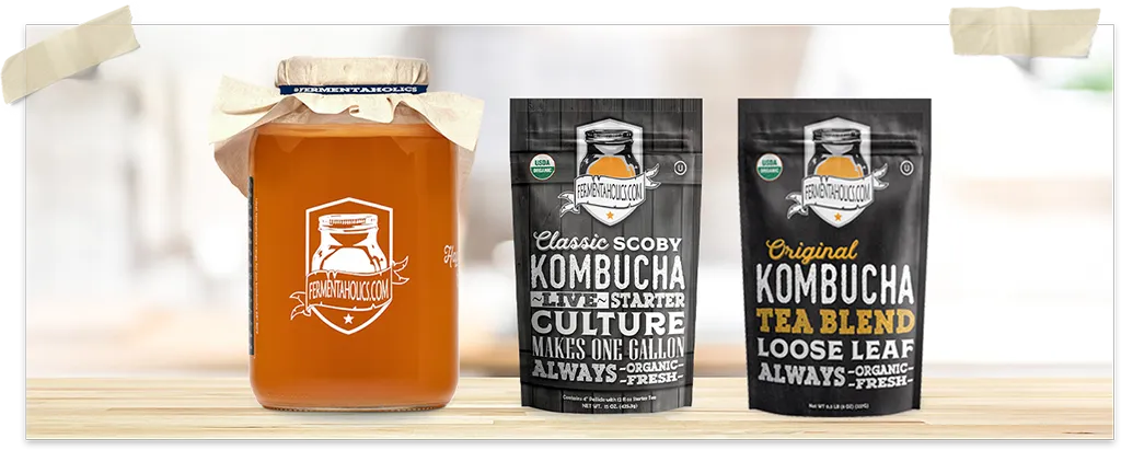 Classic Scoby For Kombucha