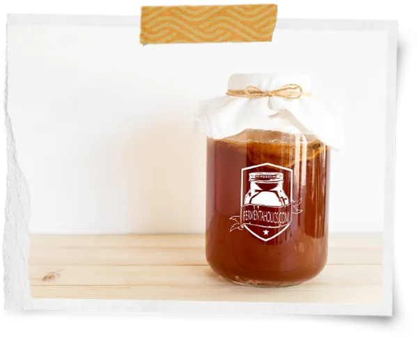 Organic Kombucha Scoby