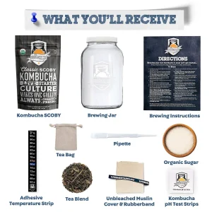 Kombucha Brewing Kit
