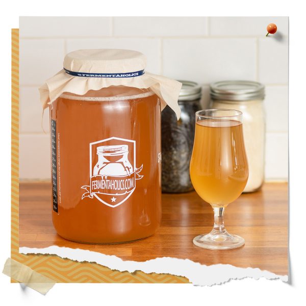 Best Kombucha Starter Kit