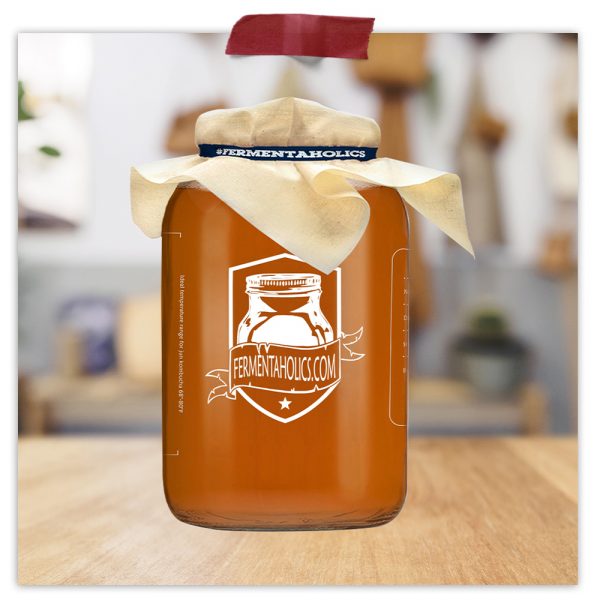 Kit Kombucha