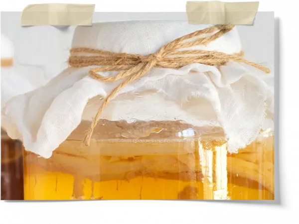 Usda Organic Jun Kombucha