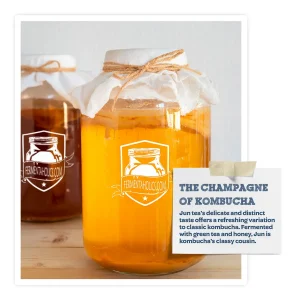 Jun Kombucha Culture