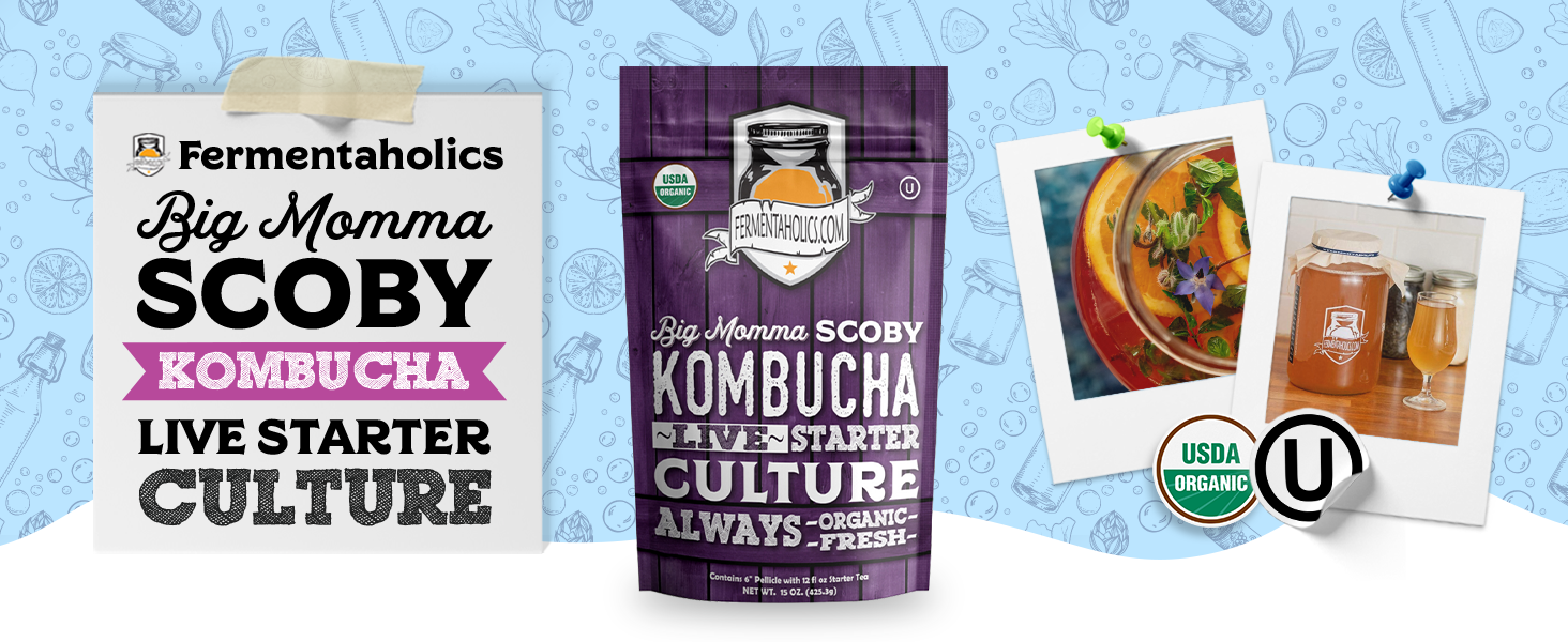 Large Organic Kombucha Scoby