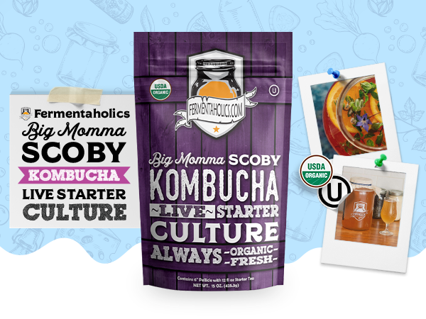 Large Organic Kombucha Scoby