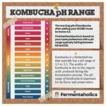 Kombucha pH Range