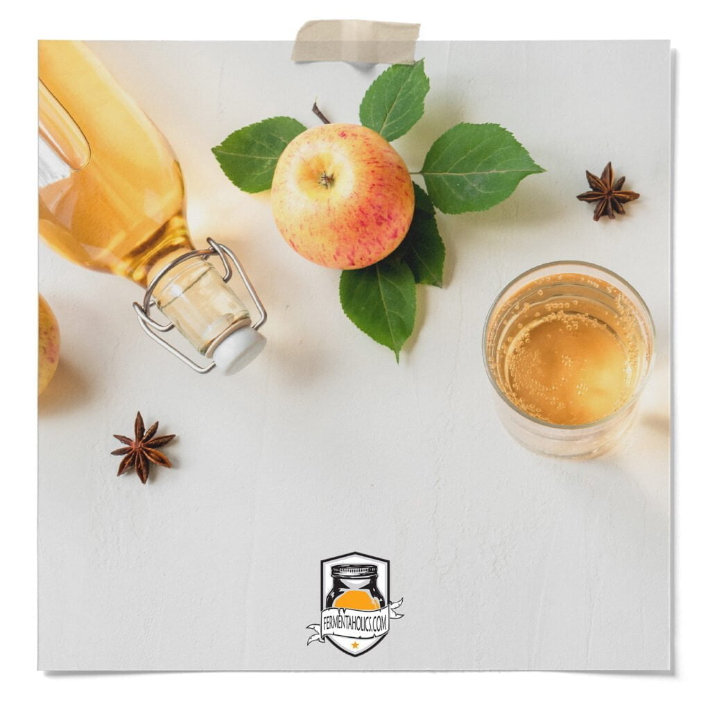 apple spice kombucha