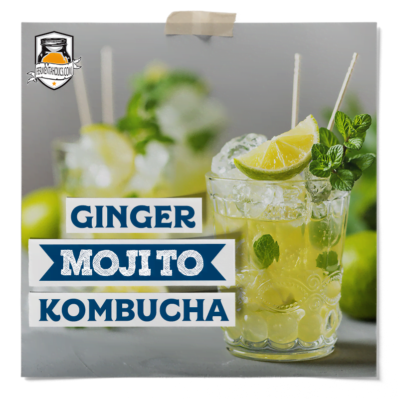 ginger mojito kombucha recipe