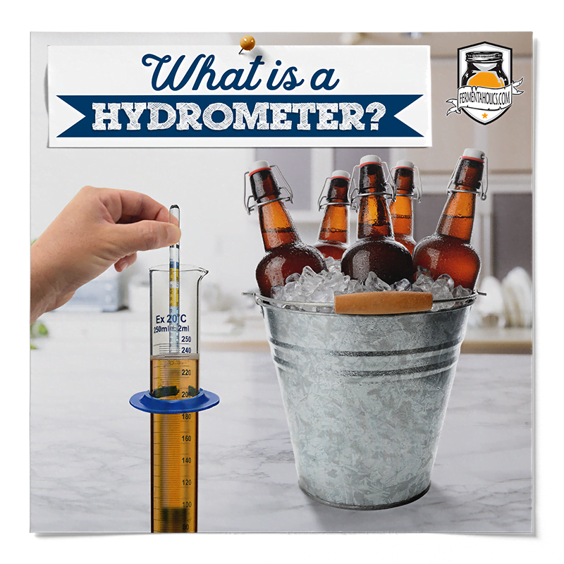 Hydrometer In Fermentation