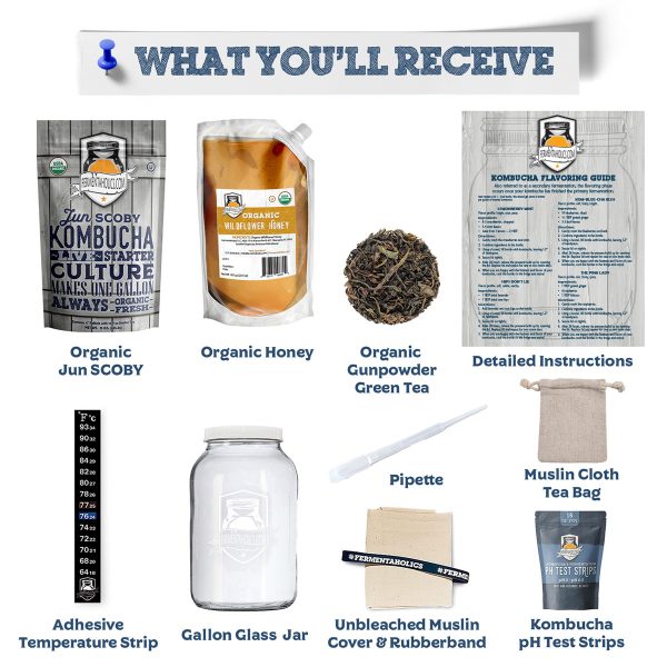 Jun Kombucha Kit