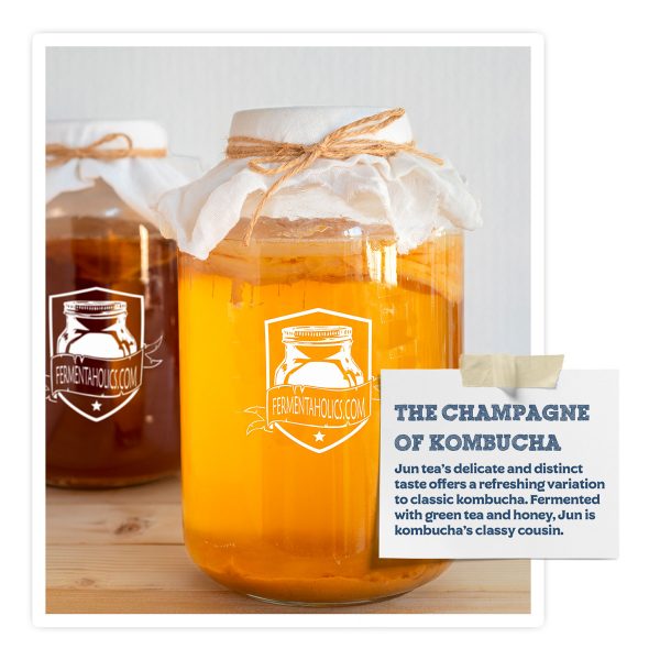 Jun Kombucha Starter Kit