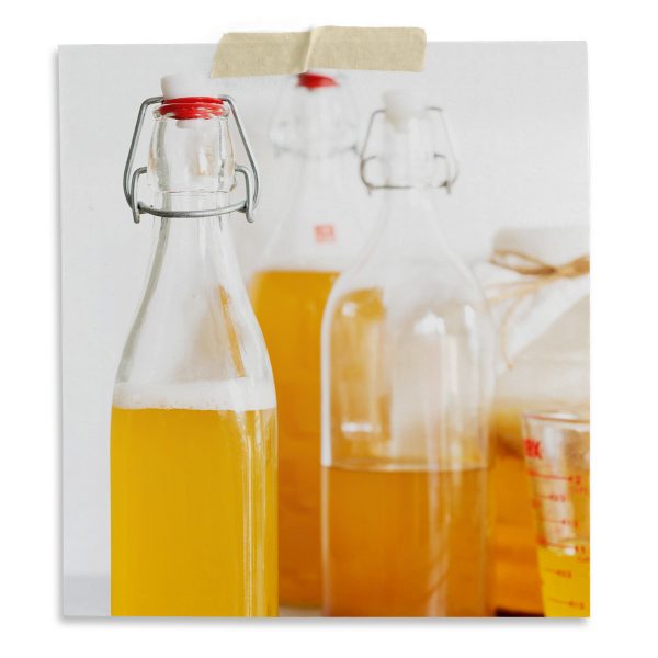 Jun Kombucha Making Kit