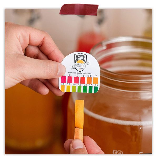 Jun Kombucha Brew Kit