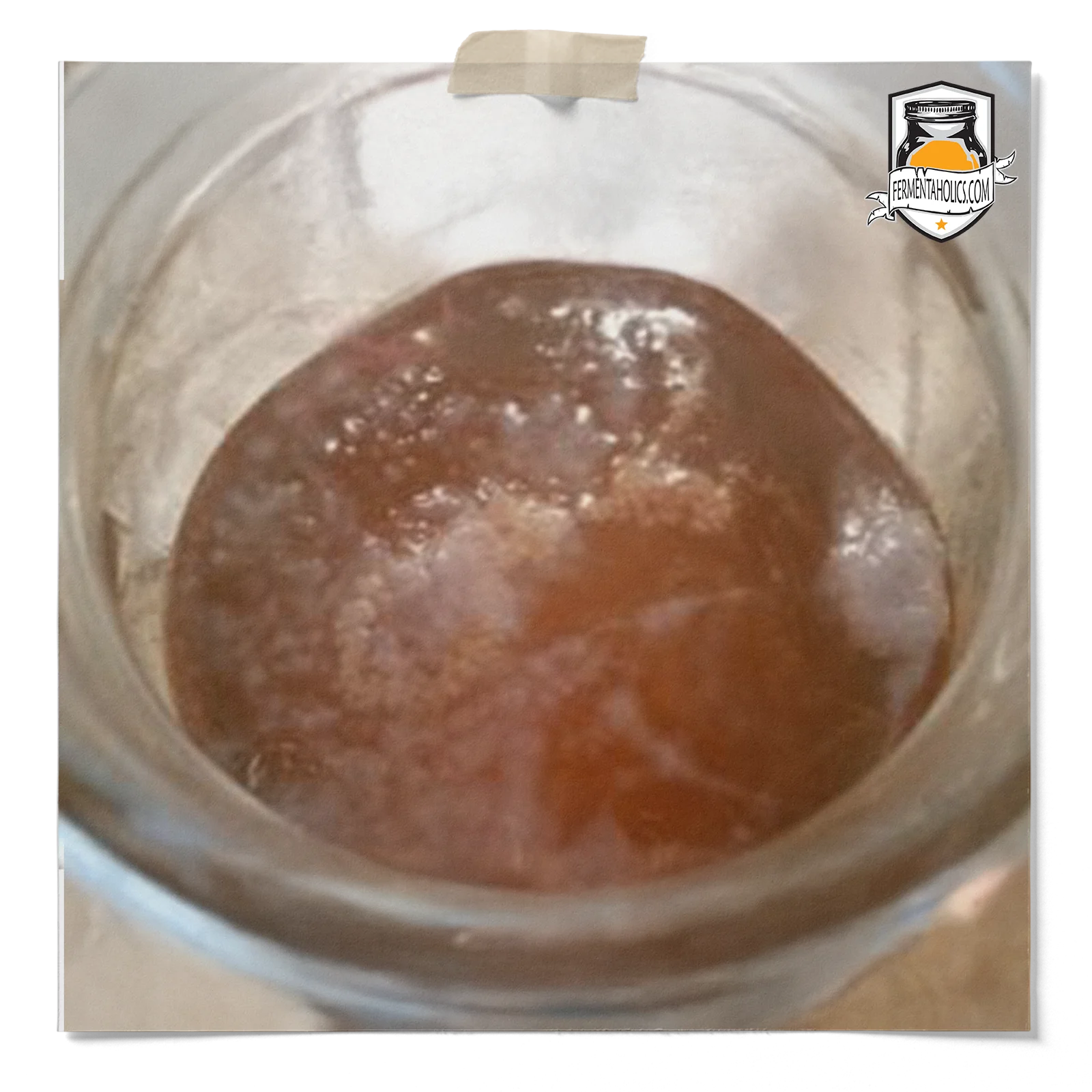 Scoby Pellicle