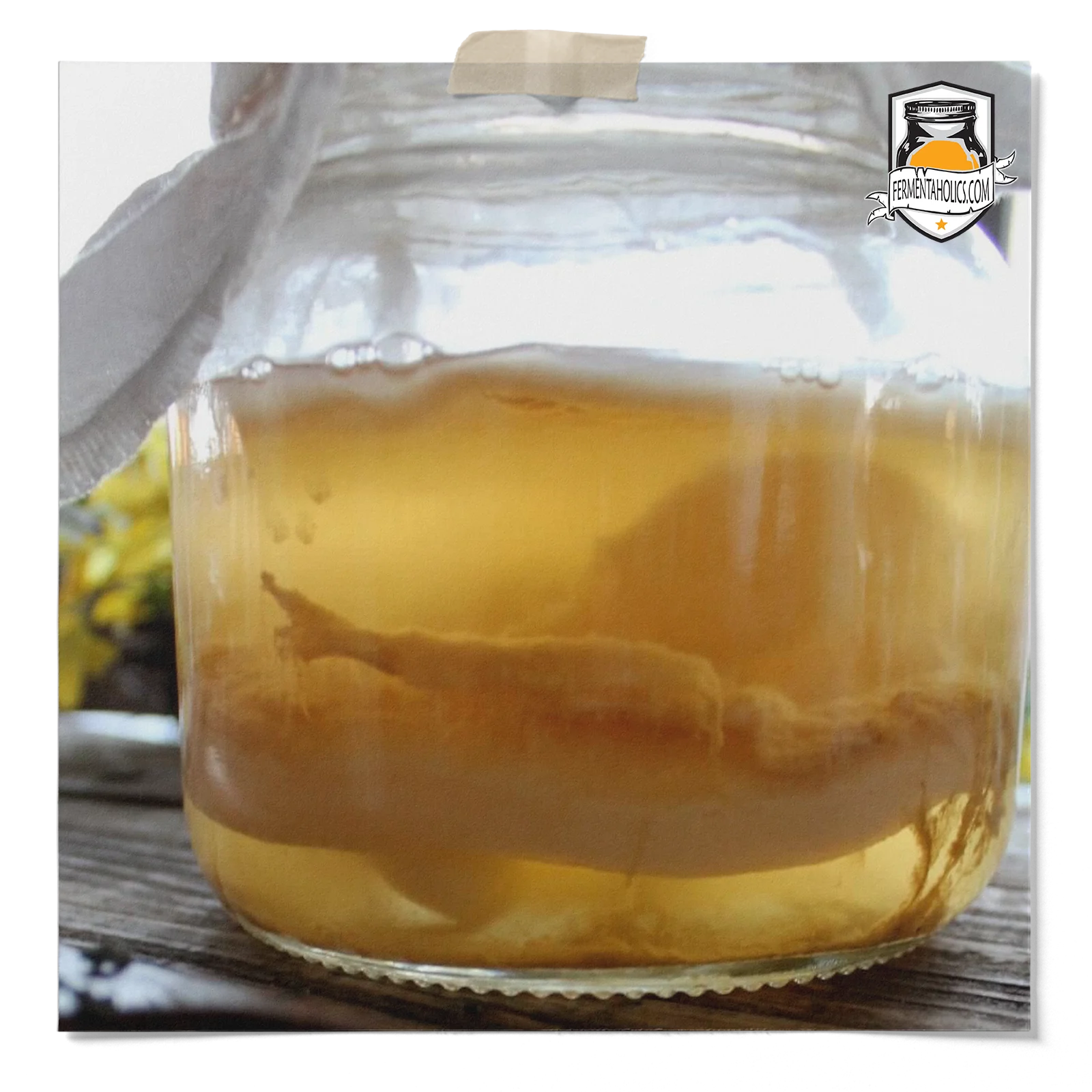 Waxy Layer Growing On My Kombucha