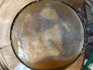 scoby