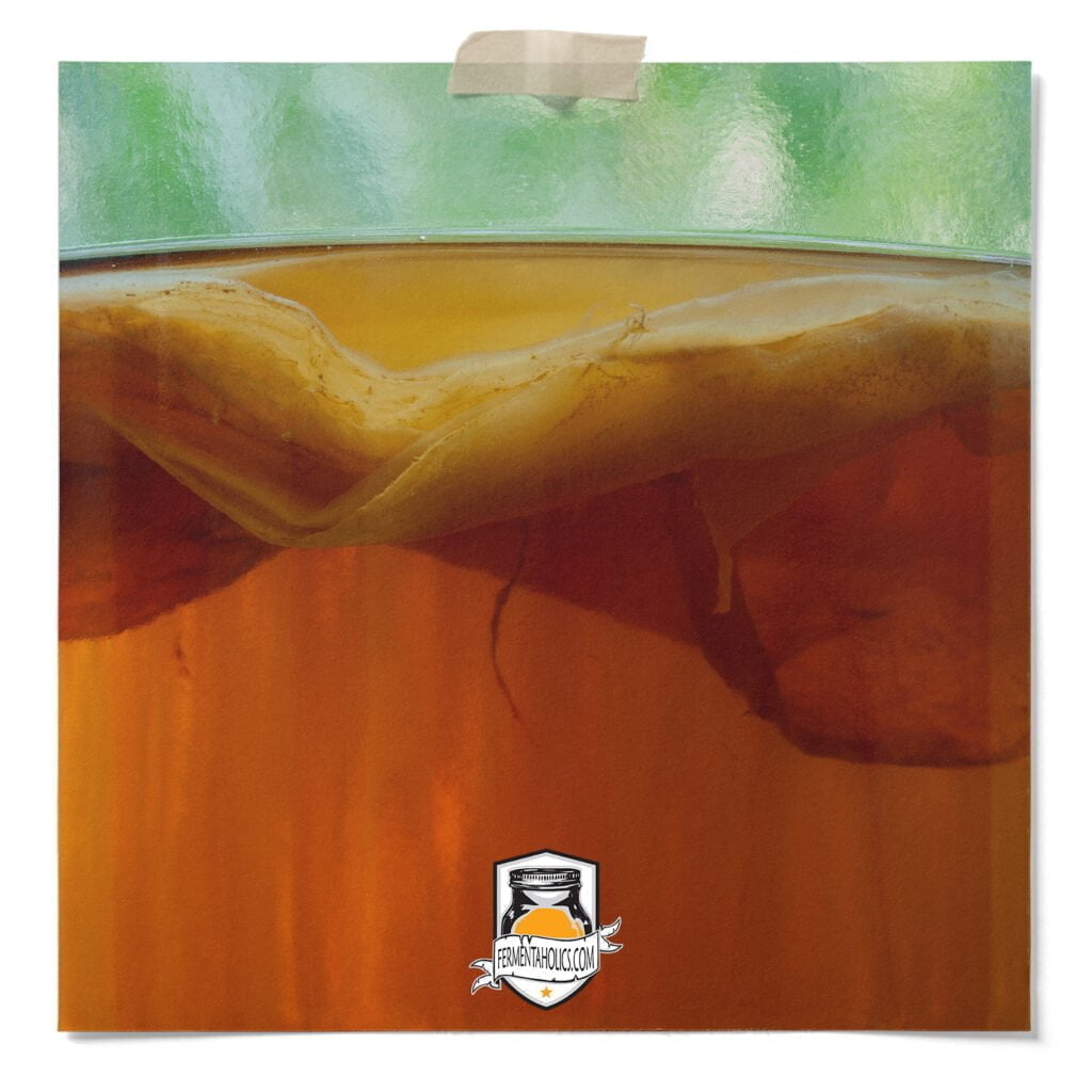 continuous kombucha brewing