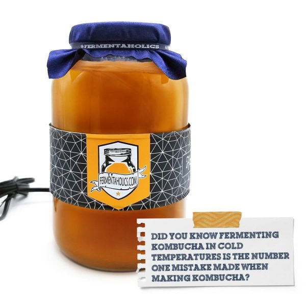 Kombucha Warmer
