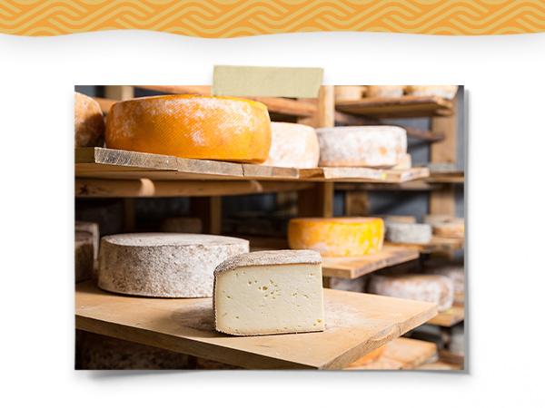 Cheese Brush