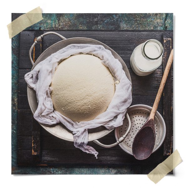 Rennet For Cheese Making