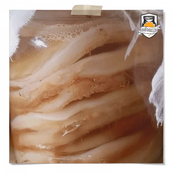 When To Replace Your Scoby