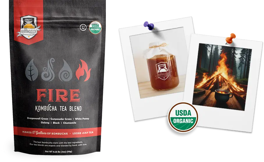 Fire Kombucha Loose Leaf Tea Blend