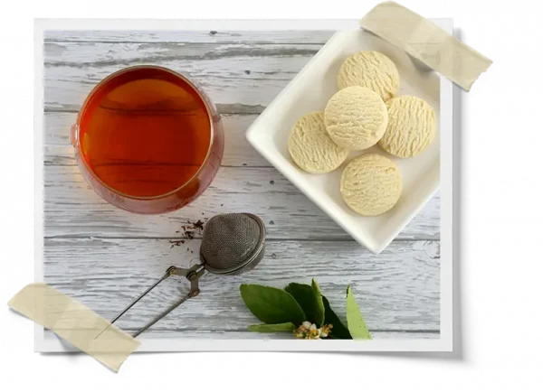 Fire Kombucha Organic Tea Blend