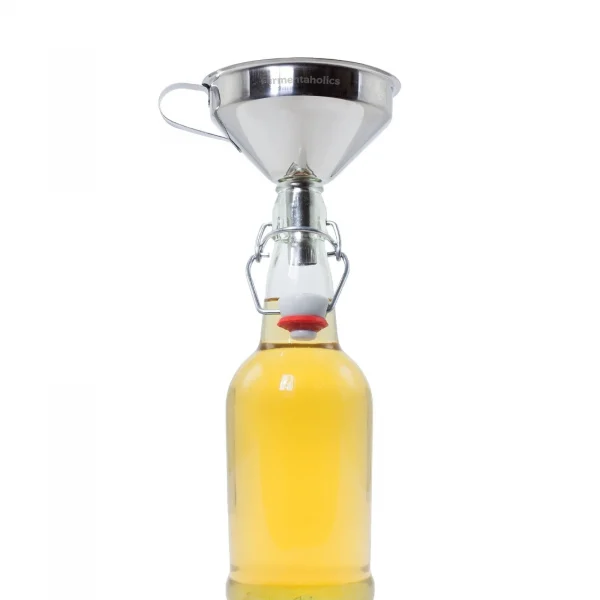 Best Funnel For Kombucha