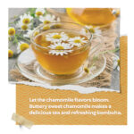 Organic Chamomile Tea