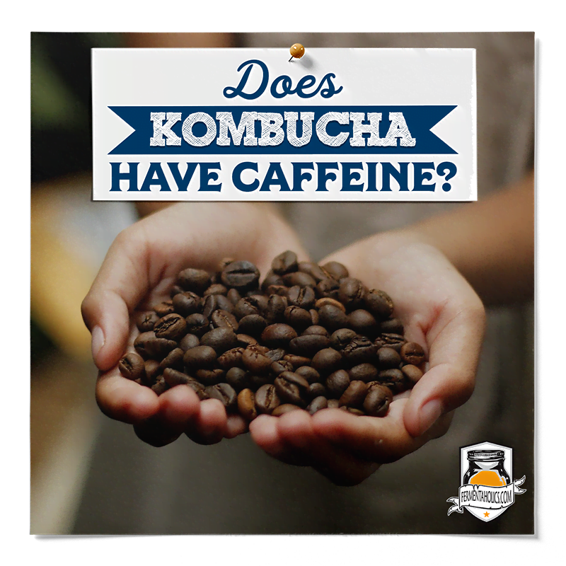 Does Kombucha Have Caffeine
