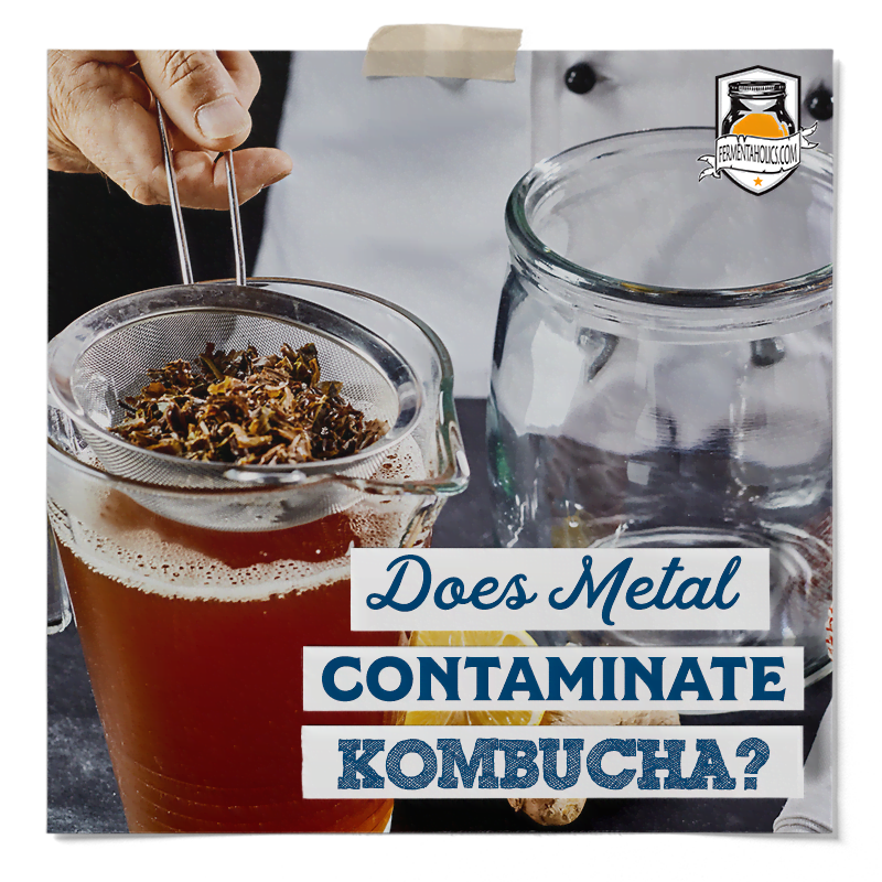 Does Metal Contaminate Kombucha