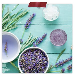 Lavender Flower