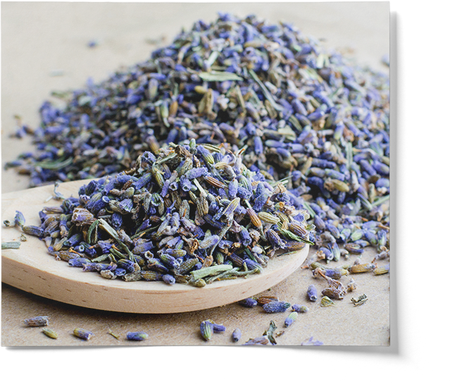 Organic Lavender Petals