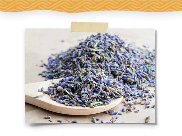 Lavender Tea