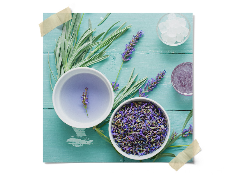 Dried Lavender