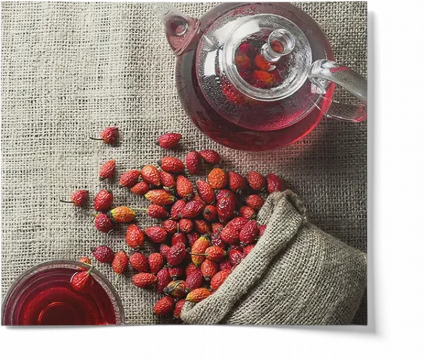 Rose Hips Tea