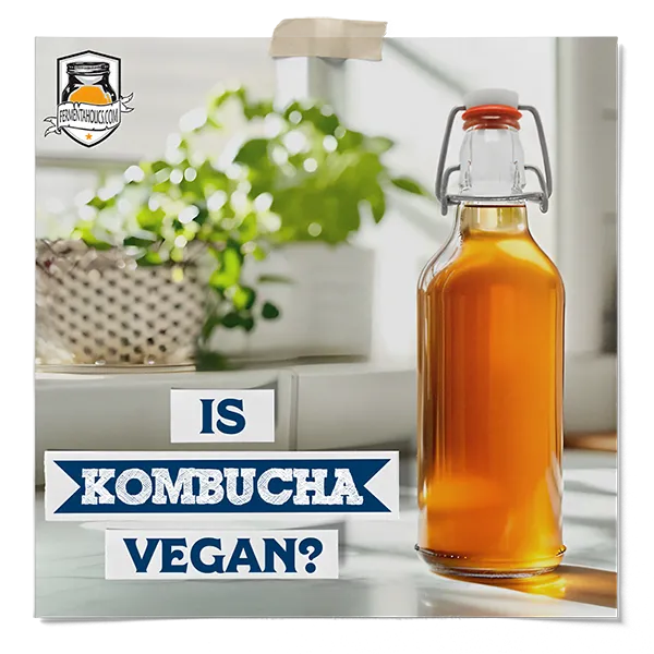 Is Kombucha Vegan