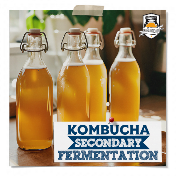 Kombucha Secondary Fermentation